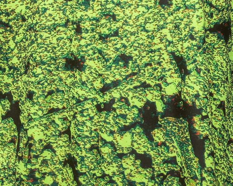 7be18ae6bb4daa47f1717492b5f165d4b88947ae-747x597