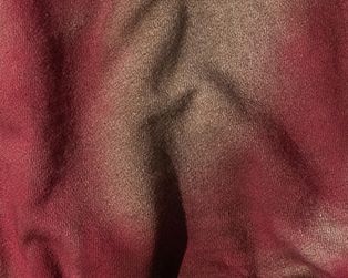 e3a2546ac02edd26605b774a1fb189f7f94a832a-314x251